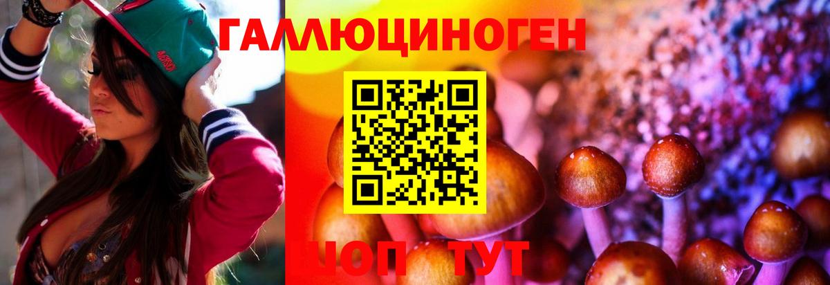 Псилоцибиновые грибы Psilocybe  Вход с VPN  Лосино-Петровский 