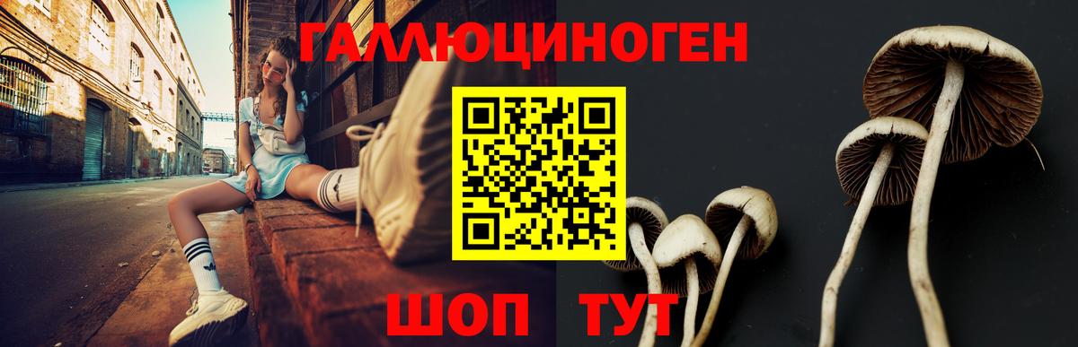 Псилоцибиновые грибы GOLDEN TEACHER Лосино-Петровский